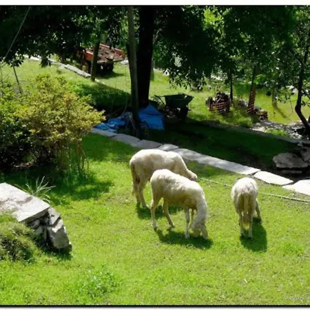 3 Bedrooms House With Furnished Garden And Wifi At Vco Hotel Montecrestese